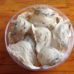 Tổ yến biển đảo sơ chế còn lông